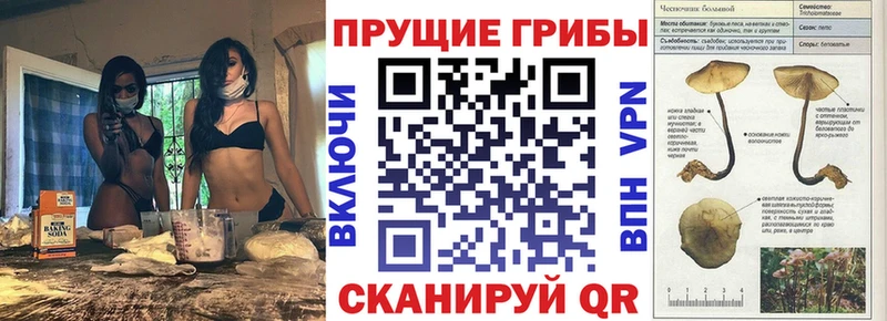 Галлюциногенные грибы ЛСД  mega ссылки  Вельск  где можно купить наркотик 